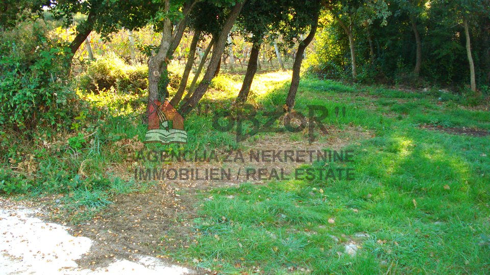 Land, 4879 m2, For Sale, Sukošan