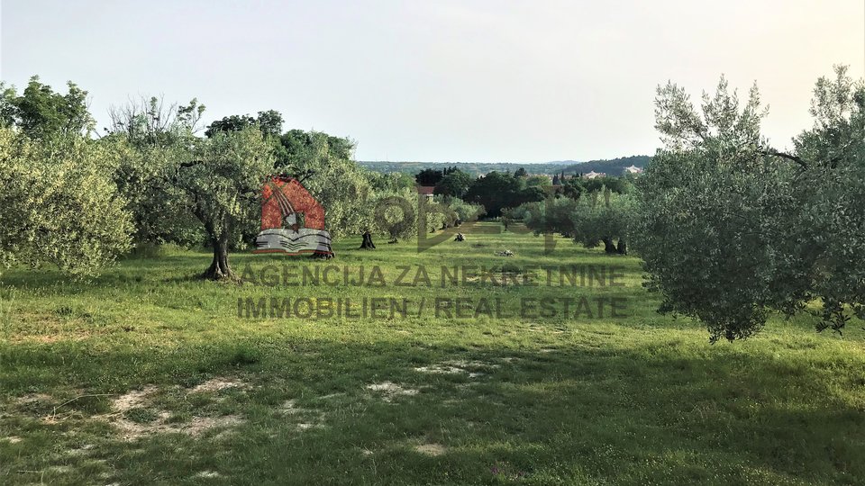 Land, 8300 m2, For Sale, Benkovac