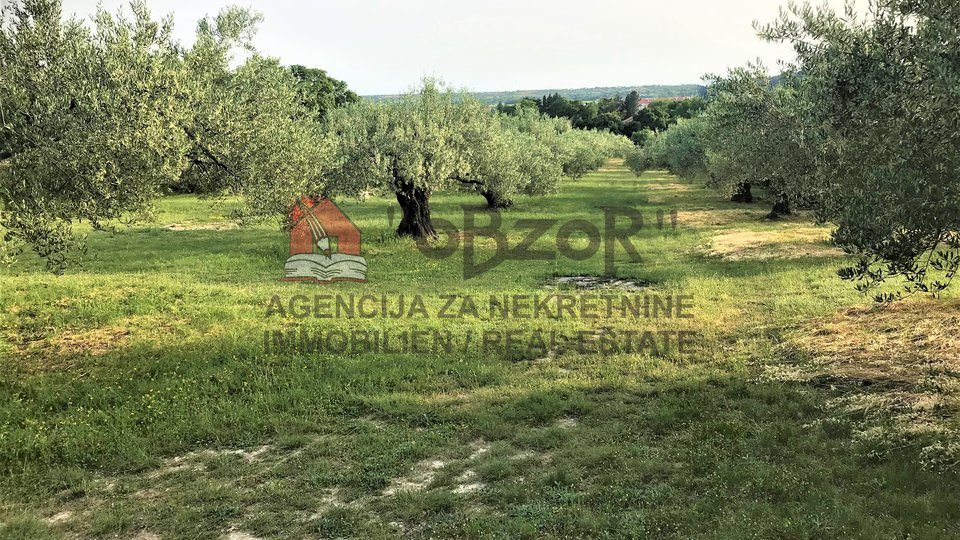 Land, 8300 m2, For Sale, Benkovac
