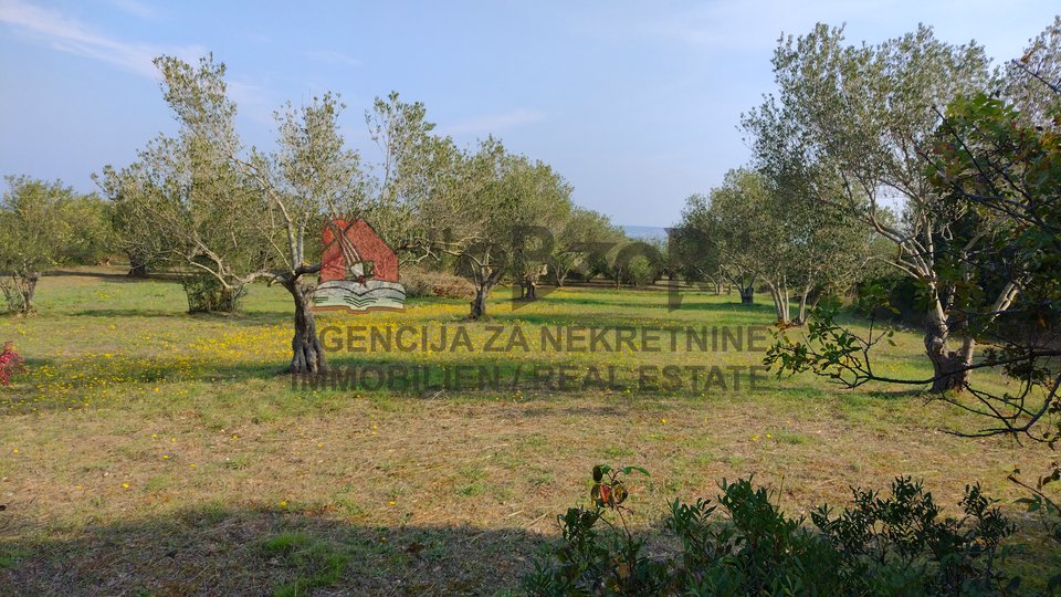 Land, 617 m2, For Sale, Pašman - Kraj