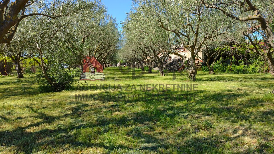 Land, 3021 m2, For Sale, Donja Jagodnja