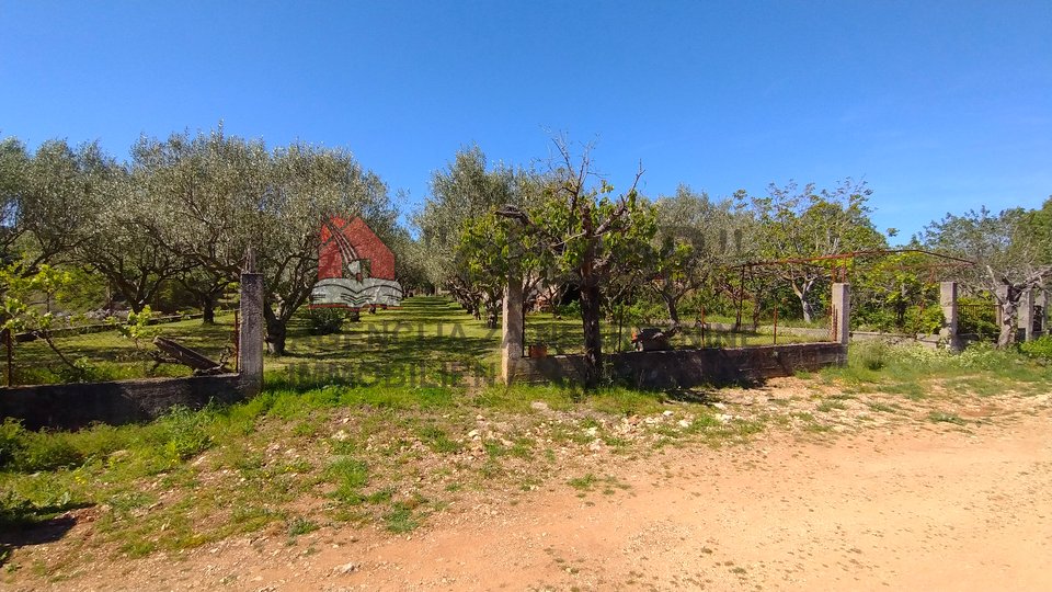 Zemljišče, 3021 m2, Prodaja, Donja Jagodnja