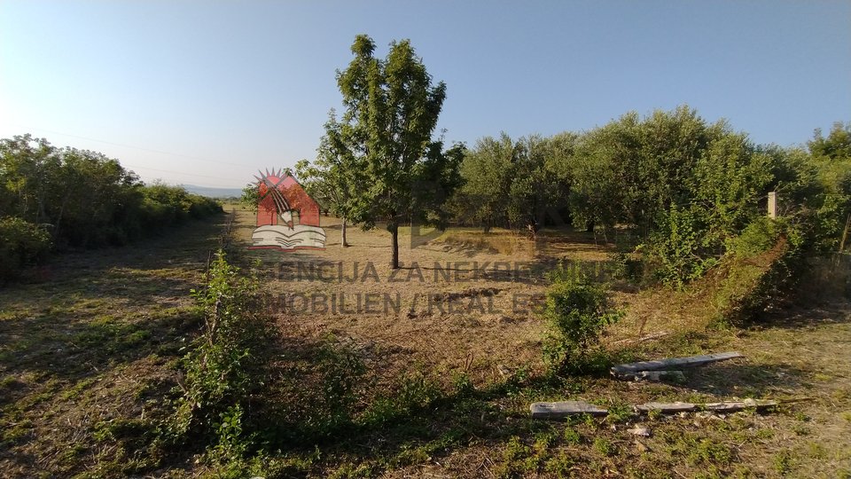 Zadar-PLOVANIJA (ČUBRIJAN), landwirtschaftliche Fläche 646m2