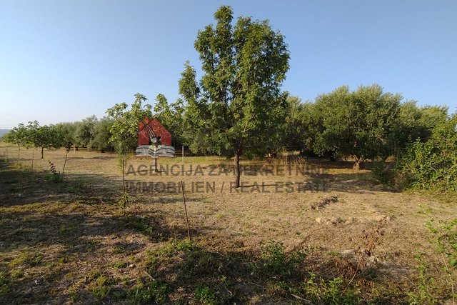 Zadar-PLOVANIJA (ČUBRIJAN), landwirtschaftliche Fläche 646m2