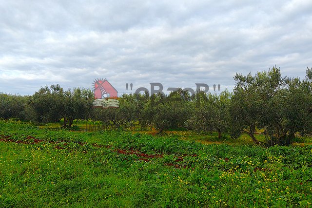 SUKOŠAN-Građevinsko zemljište 1062m2