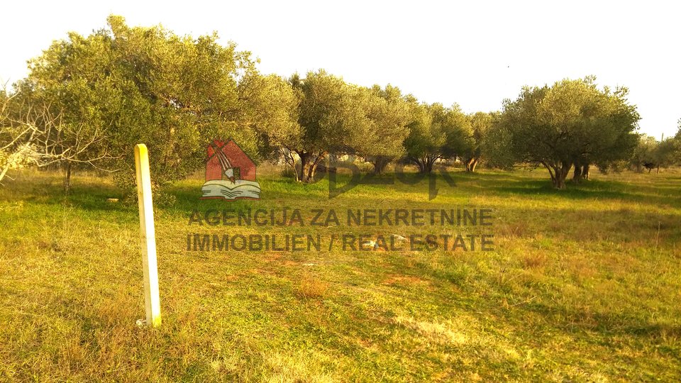 Land, 1627 m2, For Sale, Sveti Filip i Jakov - Turanj
