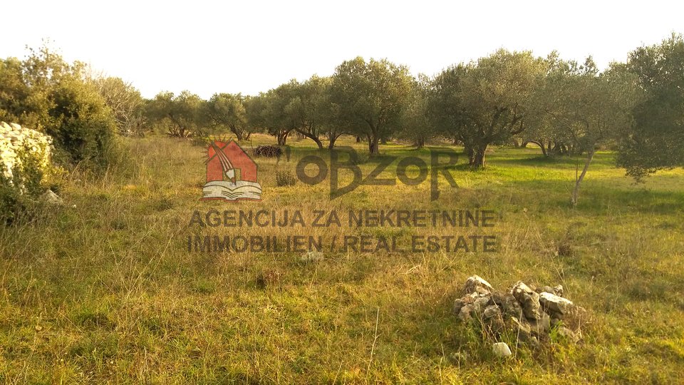 Land, 1624 m2, For Sale, Sveti Filip i Jakov - Turanj