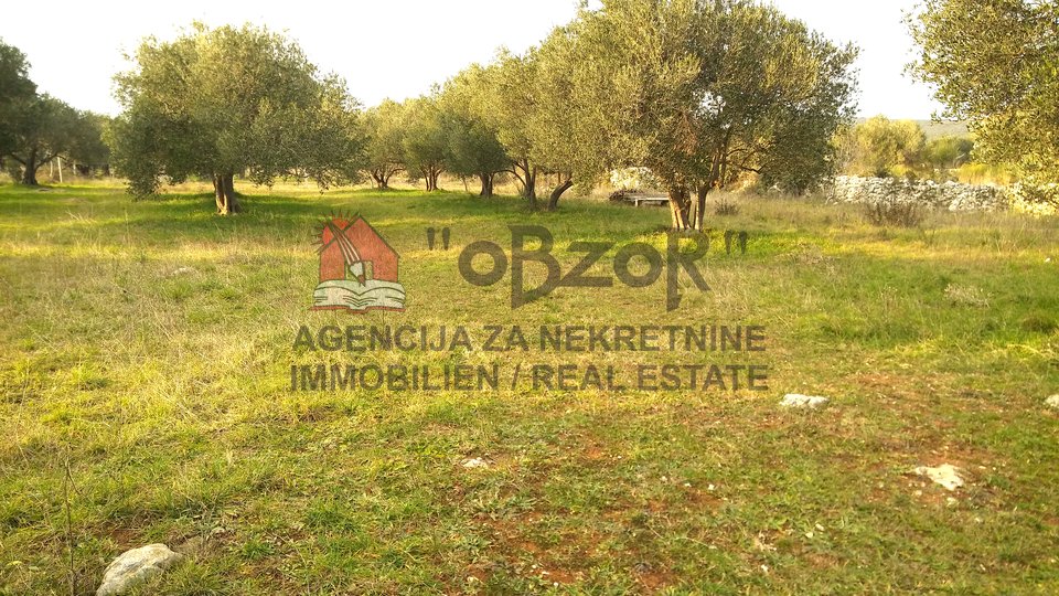 Land, 1624 m2, For Sale, Sveti Filip i Jakov - Turanj